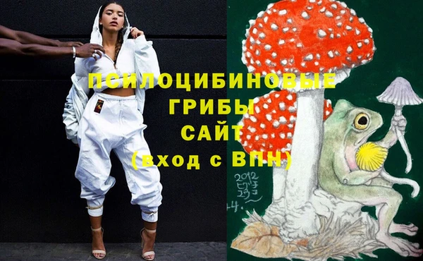 mix Богородицк