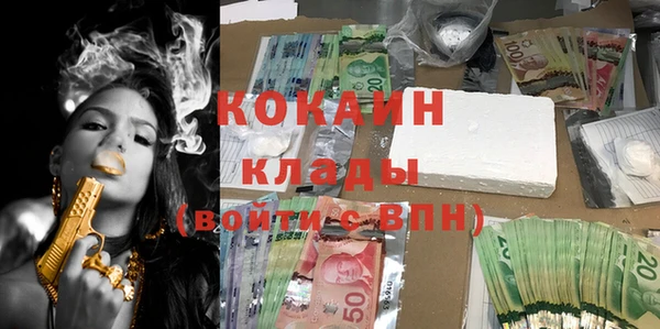 mix Богородицк