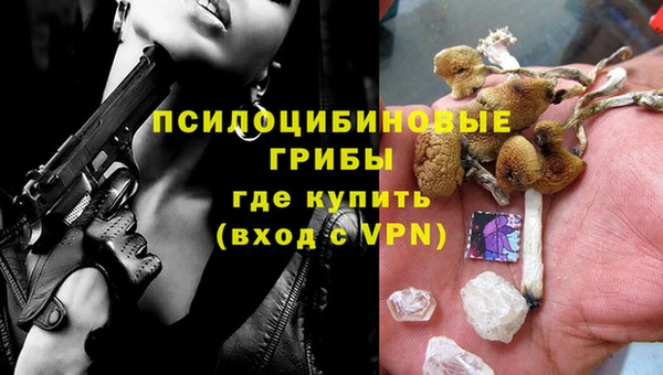 прущие крисы Богданович