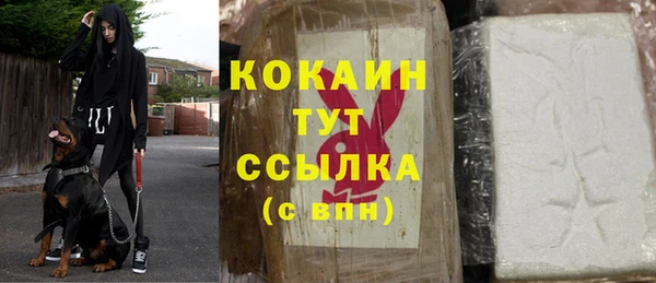 mix Богородицк
