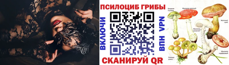 Галлюциногенные грибы Magic Shrooms  Коммунар 